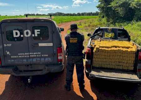 Quase uma 1 tonelada de maconha é encontrada em pickup abandonada>