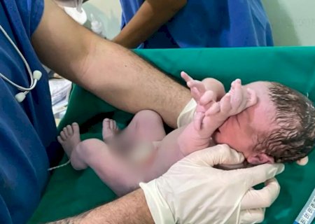 Congelar óvulos é opção que cresce entre mulheres de MS e pode custar mais de R$ 20 mil