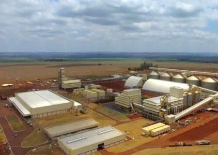 Mesmo com 6 esmagadoras, MS ainda vende quase metade da soja como commodity