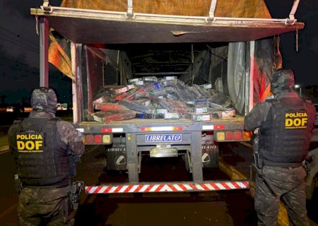 Polícia encontra 2,1 toneladas de maconha ocultas em semirreboque carregado com milho>