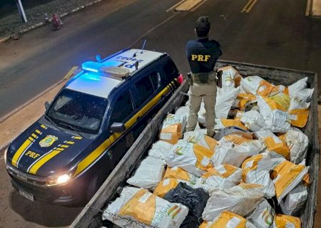 Carga milionária de maconha é descoberta sob sacas de chia>
