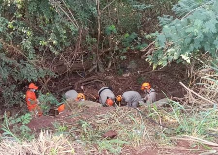 Motorista fica gravemente ferido após perder controle e capotar veículo na BR-163, entre Dourados e Caarapó>