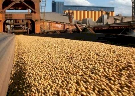 Super&aacute;vit comercial de MS cresce 13,16% no semestre e atinge US$ 4,648 bilh&otilde;es>
