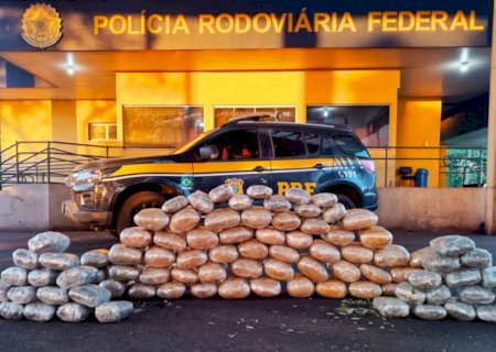 Polícia apreende 75 kg de skunk em ônibus que seguia para São Paulo>