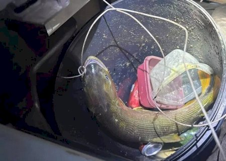 Pescador é flagrado com dourado e acaba multado em R$ 5,5 mil>