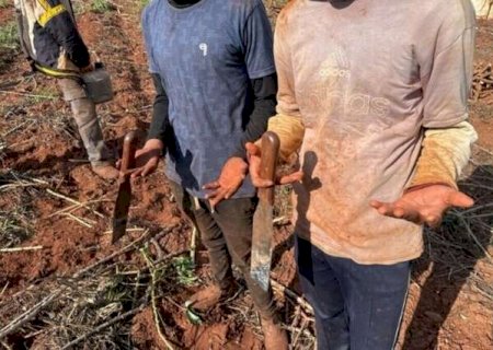 Fazendas de MS v&atilde;o pagar R$ 1,7 milh&atilde;o em danos morais por trabalho escravo>