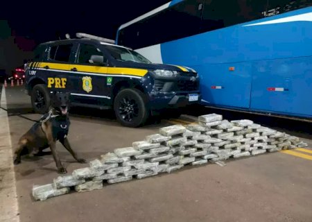 Operação prende 28 bolivianos com 235 quilos de cocaína no estômago>