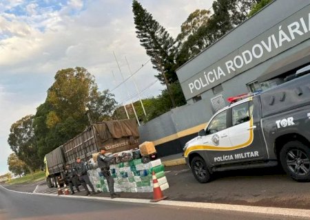 Caminhão que saiu de Dourados é apreendido com R$ 5 milhões em maconha no interior de SP>
