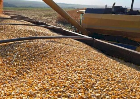 MS deve colher 2,1 milh&otilde;es de toneladas a mais em um ano>