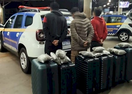 Malas com destino a Curitiba têm mais de 90 kg de maconha apreendidos>