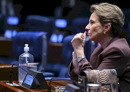 Tereza aposta em mulheres contra caciques para chegar ao comando do Senado>