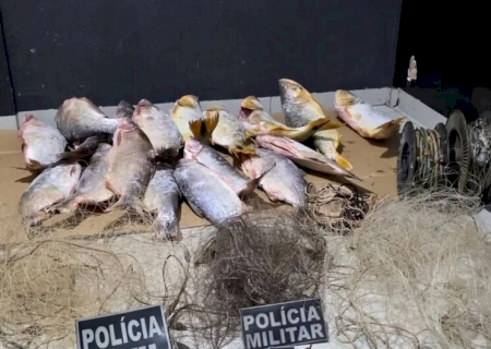 Pescado irregular rende R$ 88 mil em multas após apreensão de 38 kg em Deodápolis>