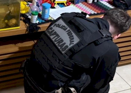 PF mira grupo de tráfico internacional de drogas e cumpre mandados em MS>